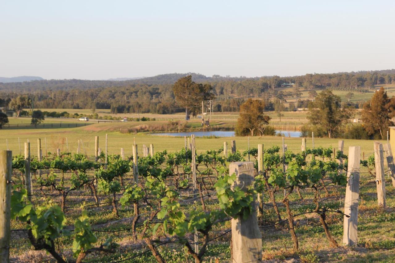 Blueberry Hill Vineyard Stay Rothbury Екстериор снимка