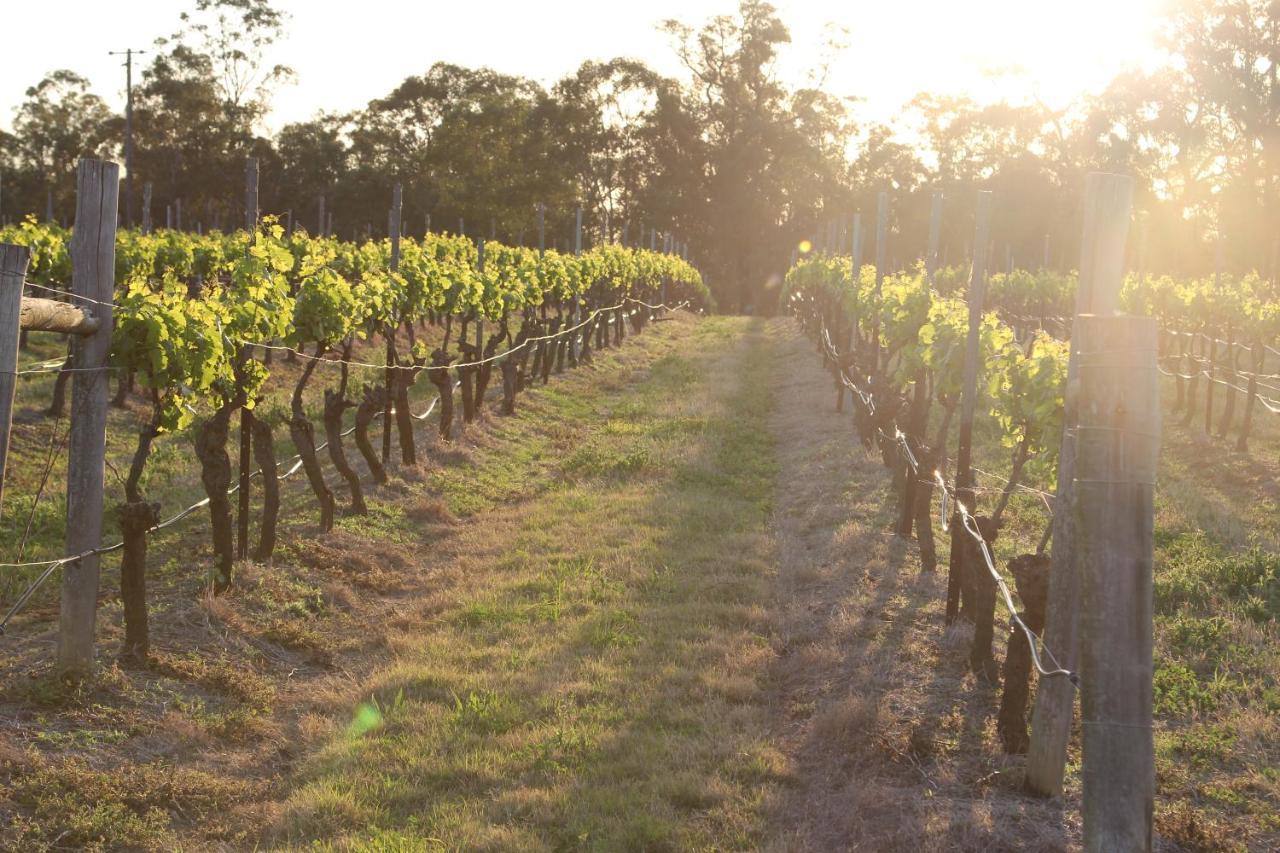Blueberry Hill Vineyard Stay Rothbury Екстериор снимка