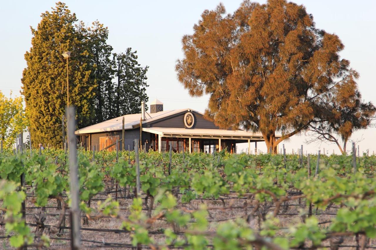 Blueberry Hill Vineyard Stay Rothbury Екстериор снимка