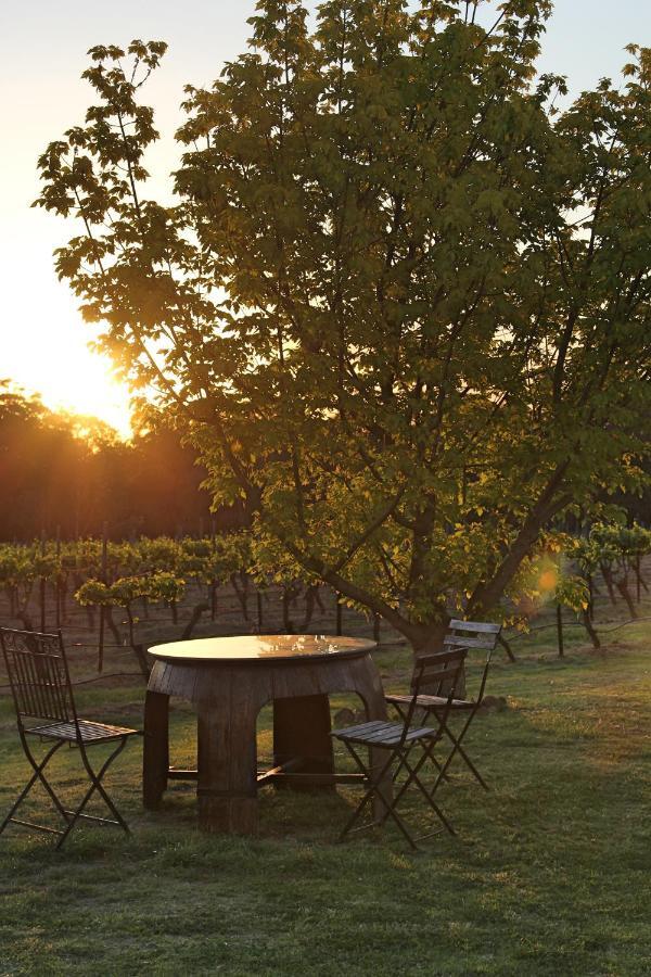 Blueberry Hill Vineyard Stay Rothbury Екстериор снимка