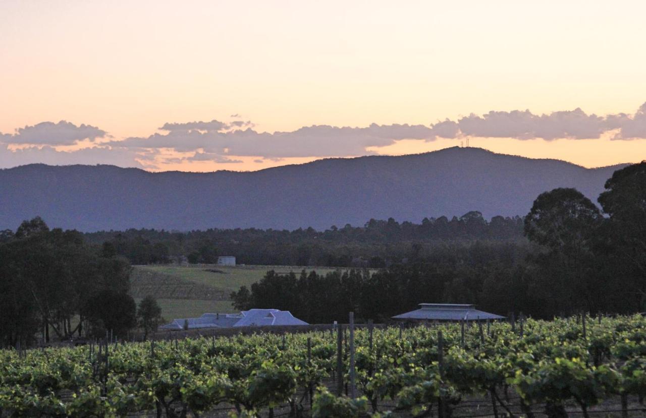 Blueberry Hill Vineyard Stay Rothbury Екстериор снимка
