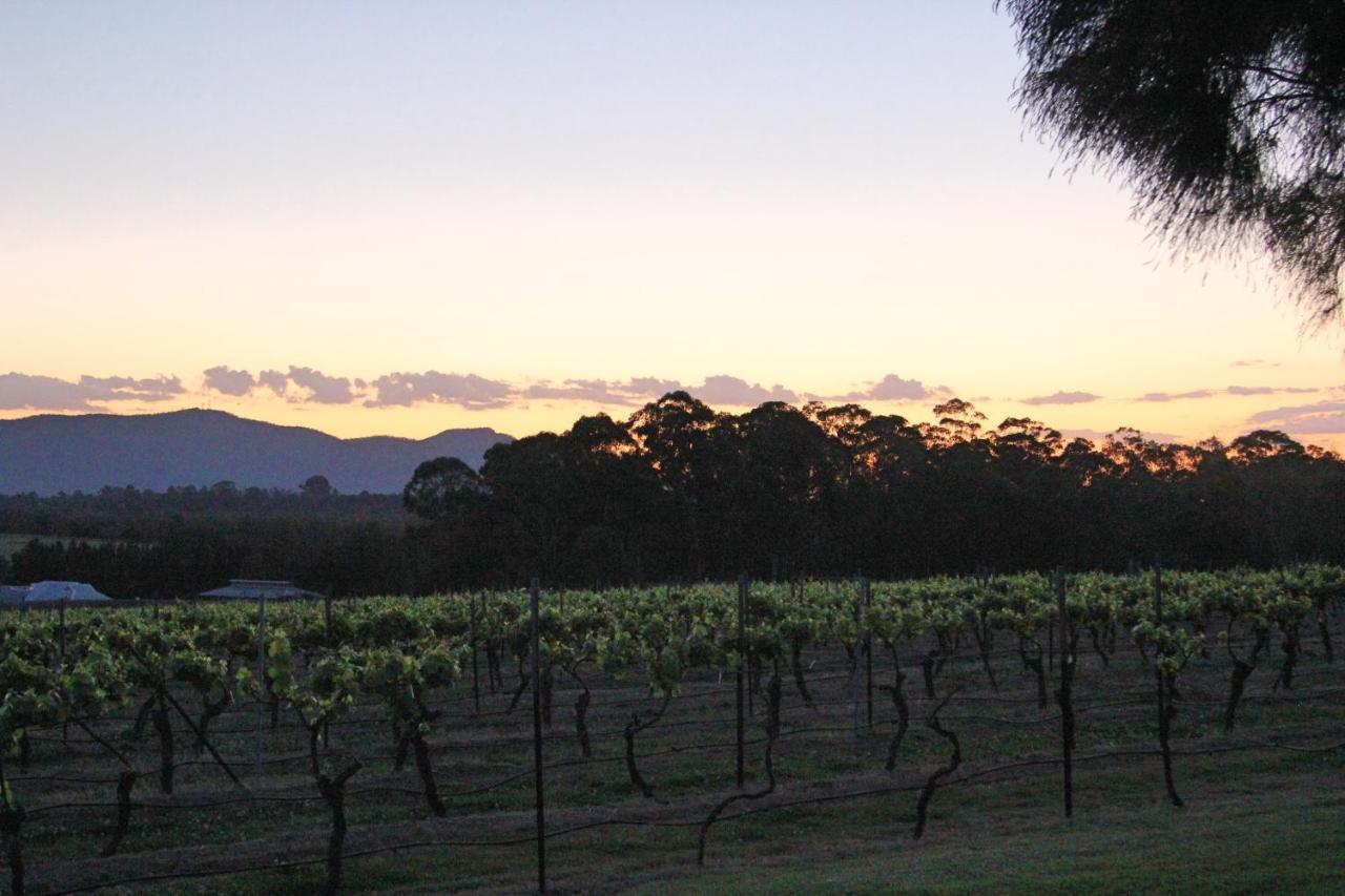 Blueberry Hill Vineyard Stay Rothbury Екстериор снимка